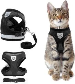 Merkloos Kattentuigje Met Looplijn | Zwart Kattenharnas | Easy Step In | Kattenriem | Kattenlijn | Kattentuig | Maat S 19 Merkloos Kattentuigje Met Looplijn | Zwart Kattenharnas | Easy Step In | Kattenriem | Kattenlijn | Kattentuig | Maat S -Dierenwinkel 1070x1200