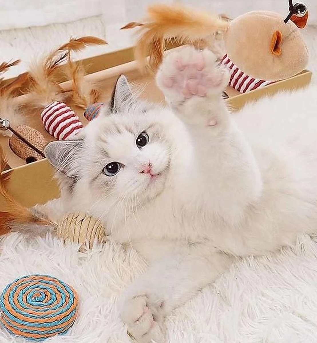 GIZMO Luxe Kattenspeeltjes Set - 7 Speeltjes - Interactieve Kattenhengel, Kattenspeelgoed & Speelmuisjes - Kitten Speeltjes 8 GIZMO Luxe Kattenspeeltjes Set - 7 Speeltjes - Interactieve Kattenhengel, Kattenspeelgoed & Speelmuisjes - Kitten Speeltjes - Afbeelding 6