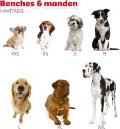 Adori Vetbed Basic - Dierendeken - Grijs - 122 X 75 Cm -Dierenwinkel 1115x1200