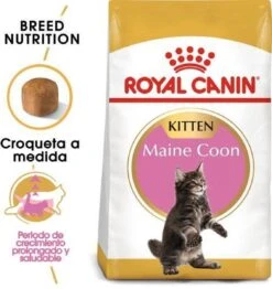 Royal Canin Maine Coon Kitten - Kattenvoer - 4 Kg 28 Royal Canin Maine Coon Kitten - Kattenvoer - 4 Kg -Dierenwinkel 1132x1200 3