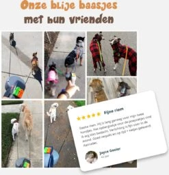 Dubbele Honden Riem – Leiband Hond – Hondenlijn – Looplijn Hond – 2 Honden – 3 Meter – Tot 12kg Per Hond – Reflecterende Lijnen – Met Zaklamp – 360° Draaien – Verstelbaar - Zwart 18 Dubbele Honden Riem – Leiband Hond – Hondenlijn – Looplijn Hond – 2 Honden – 3 Meter – Tot 12kg Per Hond – Reflecterende Lijnen – Met Zaklamp – 360° Draaien – Verstelbaar - Zwart -Dierenwinkel 1160x1200 2