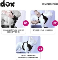 DDOXX Hondenharnas, Reflecterend, Verstelbaar, Breakaway | Borstharnas Voor Klein, Middelgroot | Hondenharnas Hond Kat Puppy Auto | Kattenharnas Puppy Harnas | Roze Roze, S 18 DDOXX Hondenharnas, Reflecterend, Verstelbaar, Breakaway | Borstharnas Voor Klein, Middelgroot | Hondenharnas Hond Kat Puppy Auto | Kattenharnas Puppy Harnas | Roze Roze, S -Dierenwinkel 1165x1200 1