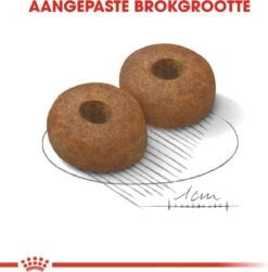 Royal Canin Maxi Ageing 8+ 15 KG -Dierenwinkel 1179x1200 2