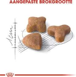 Royal Canin Sensible 33 - Kattenvoer - 10+2 Kg Bonusbag 18 Royal Canin Sensible 33 - Kattenvoer - 10+2 Kg Bonusbag -Dierenwinkel 1185x1200 4