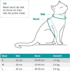 Merkloos Kattentuigje Met Looplijn | Zwart Kattenharnas | Easy Step In | Kattenriem | Kattenlijn | Kattentuig | Maat S 18 Merkloos Kattentuigje Met Looplijn | Zwart Kattenharnas | Easy Step In | Kattenriem | Kattenlijn | Kattentuig | Maat S -Dierenwinkel 1195x1200 2