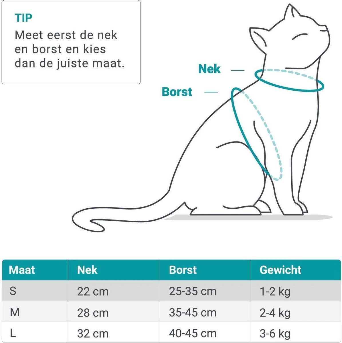 Merkloos Kattentuigje Met Looplijn | Zwart Kattenharnas | Easy Step In | Kattenriem | Kattenlijn | Kattentuig | Maat S 10 Merkloos Kattentuigje Met Looplijn | Zwart Kattenharnas | Easy Step In | Kattenriem | Kattenlijn | Kattentuig | Maat S - Afbeelding 8