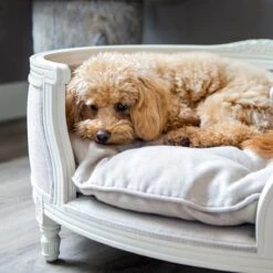 Lord Lou - George Roze Velvet S - Luxe Hondenmand - Luxe Kattenmand - 49x40x31 -Dierenwinkel 1198x1200 2