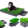 Merkloos Hondentoilet Kunstgras Met Bak - Indoor Dierentoilet - Uitneembare Opvangbak - Puppy Training Pets - Outdoor/Balkon/Tuin/Indoor Toilet - 50x64 Cm 1 Merkloos Hondentoilet Kunstgras Met Bak - Indoor Dierentoilet - Uitneembare Opvangbak - Puppy Training Pets - Outdoor/Balkon/Tuin/Indoor Toilet - 50x64 Cm -Dierenwinkel 1200x1041 1