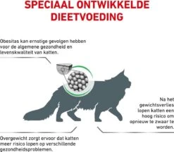Royal Canin Satiety Weight Management - Kattenvoer - 6 Kg -Dierenwinkel 1200x1050 4
