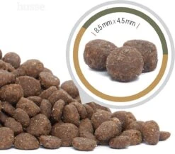 Husse Opus Lynx Graanvrij Kattenvoer - 7 Kg -Dierenwinkel 1200x1056 1