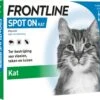 Frontline Spot-On Anti Vlooienmiddel Kat - 6 Pipetten 1 Frontline Spot-On Anti Vlooienmiddel Kat - 6 Pipetten -Dierenwinkel 1200x1057