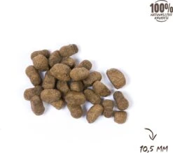 VITALstyle HUID+VACHT - Hondenbrokken - 12 Kg -Dierenwinkel 1200x1066