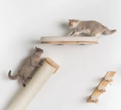 RHRQuality Wandmeubel Wandmontage Klimmuur Kat 53 X 43cm Luxe Kattenbed Creme Wand Muur Krabpaal Katten Muurbevestiging 15 RHRQuality Wandmeubel Wandmontage Klimmuur Kat 53 X 43cm Luxe Kattenbed Creme Wand Muur Krabpaal Katten Muurbevestiging -Dierenwinkel 1200x1090 1