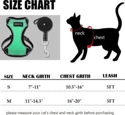 Kattentuigje Met Leiband Riem Kattenharnas Groen Maat M Kat & Kitten - Dieren Kattenriem - Cat Leash - Halsomvang 20 Tot 26cm - Borstomvang 30 Tot 34cm - Zootic® 12 Kattentuigje Met Leiband Riem Kattenharnas Groen Maat M Kat & Kitten - Dieren Kattenriem - Cat Leash - Halsomvang 20 Tot 26cm - Borstomvang 30 Tot 34cm - Zootic® -Dierenwinkel 1200x1110