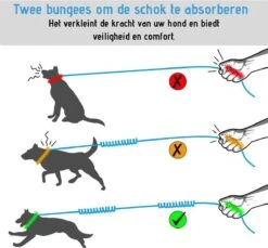 Oak's First Elastische En Diervriendelijke Looplijn Met Heupriem - Hondenriem - 150cm/210cm - Grijs -Dierenwinkel 1200x1114 2