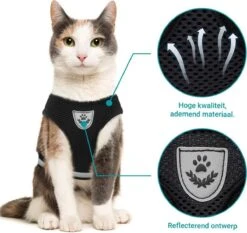 Merkloos Kattentuigje Met Looplijn | Zwart Kattenharnas | Easy Step In | Kattenriem | Kattenlijn | Kattentuig | Maat S 13 Merkloos Kattentuigje Met Looplijn | Zwart Kattenharnas | Easy Step In | Kattenriem | Kattenlijn | Kattentuig | Maat S -Dierenwinkel 1200x1131