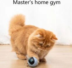 Otiume Interactieve Speelbal - Slimme Interactieve Jaag Speeltje Voor Katten - Kattenspeeltjes - Intelligente Jaagbal - AI -USB Oplaadbaar - LED - Blauw 13 Otiume Interactieve Speelbal - Slimme Interactieve Jaag Speeltje Voor Katten - Kattenspeeltjes - Intelligente Jaagbal - AI -USB Oplaadbaar - LED - Blauw -Dierenwinkel 1200x1137 5