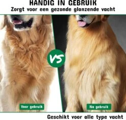 Mister Mill Professionele Set Slicker Honden Kattenborstel Plus Nagelknipper Plus Ondervacht Kam 24 Mister Mill Professionele Set Slicker Honden Kattenborstel Plus Nagelknipper Plus Ondervacht Kam -Dierenwinkel 1200x1143