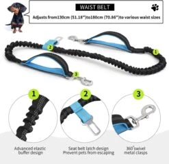 BOTC Looplijn Hond Met Heupriem Voor Hardlopen - Met Drinkbak Hond - Hondenriem - 1 Roll Poep Zakjes - Zwart 21 BOTC Looplijn Hond Met Heupriem Voor Hardlopen - Met Drinkbak Hond - Hondenriem - 1 Roll Poep Zakjes - Zwart -Dierenwinkel 1200x1159 1