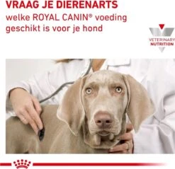 Royal Canin Hypoallergenic - Hondenvoer - 14 Kg -Dierenwinkel 1200x1161
