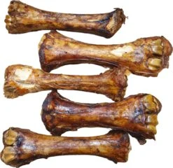 Dierenwinkel -Dierenwinkel 1200x1164 1