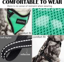Kattentuigje Met Leiband Riem Kattenharnas Groen Maat M Kat & Kitten - Dieren Kattenriem - Cat Leash - Halsomvang 20 Tot 26cm - Borstomvang 30 Tot 34cm - Zootic® 15 Kattentuigje Met Leiband Riem Kattenharnas Groen Maat M Kat & Kitten - Dieren Kattenriem - Cat Leash - Halsomvang 20 Tot 26cm - Borstomvang 30 Tot 34cm - Zootic® -Dierenwinkel 1200x1164 3