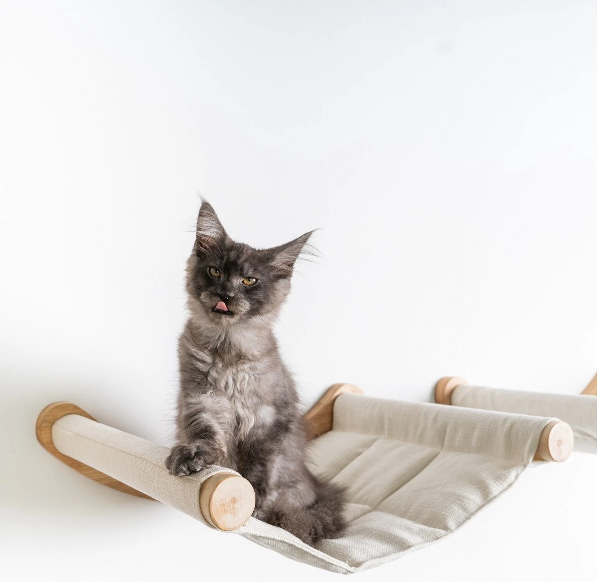 RHRQuality Wandmeubel Wandmontage Klimmuur Kat 53 X 43cm Luxe Hangmat XXL Creme Klim Wand Muur Krabpaal Katten Muurbevestiging 3 RHRQuality Wandmeubel Wandmontage Klimmuur Kat 53 X 43cm Luxe Hangmat XXL Creme Klim Wand Muur Krabpaal Katten Muurbevestiging