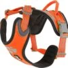 Hurtta Weekend Warrior Harness - 45/60 Cm - Neon Orange 2 Hurtta Weekend Warrior Harness - 45/60 Cm - Neon Orange -Dierenwinkel 1200x1177