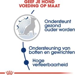 Royal Canin Maxi Ageing 8+ 15 KG -Dierenwinkel 1200x1192 1