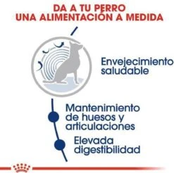 Royal Canin Maxi Ageing 8+ 15 KG -Dierenwinkel 1200x1197 6