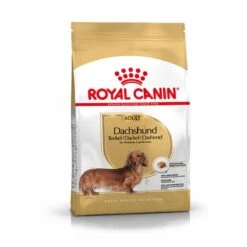 Royal Canin Dachshund/Teckel Adult 7.5 KG -Dierenwinkel 1200x1200 101