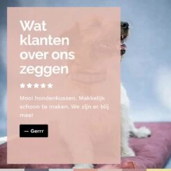 Rexproduct Hondenkussen - Hondenmand - Hondenbed Met Rits En Wasbaar - Manden & Kussens 90 X 110 CM - 0 Tot 80 Kg - SoftPet Groen 22 Rexproduct Hondenkussen - Hondenmand - Hondenbed Met Rits En Wasbaar - Manden & Kussens 90 X 110 CM - 0 Tot 80 Kg - SoftPet Groen -Dierenwinkel 1200x1200 168