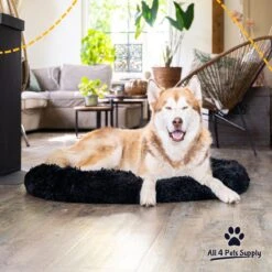 All 4 Pets Supply® Hondenmand Donut - Maat XL - Geschikt Voor Honden Tot 100 Cm - Hondenkussen - Zwart 14 All 4 Pets Supply® Hondenmand Donut - Maat XL - Geschikt Voor Honden Tot 100 Cm - Hondenkussen - Zwart -Dierenwinkel 1200x1200 178