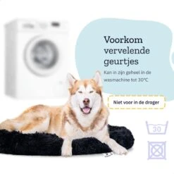 All 4 Pets Supply® Hondenmand Donut - Maat XL - Geschikt Voor Honden Tot 100 Cm - Hondenkussen - Zwart 16 All 4 Pets Supply® Hondenmand Donut - Maat XL - Geschikt Voor Honden Tot 100 Cm - Hondenkussen - Zwart -Dierenwinkel 1200x1200 180