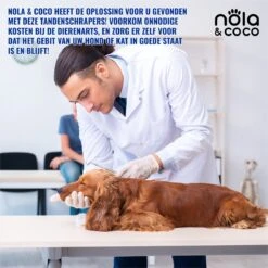 Nola & Coco® Tandsteen Verwijderaar Set Inclusief Bewaardoosje - Tandenkrabber - Set Van Twee - Hond - Kat - Tandenborstel - Tandplak Verwijderen - Tandenstoker - Honden Tanden Schoonmaken - Tandenhaakje - Gebitsreiniging 11 Nola & Coco® Tandsteen Verwijderaar Set Inclusief Bewaardoosje - Tandenkrabber - Set Van Twee - Hond - Kat - Tandenborstel - Tandplak Verwijderen - Tandenstoker - Honden Tanden Schoonmaken - Tandenhaakje - Gebitsreiniging -Dierenwinkel 1200x1200 189