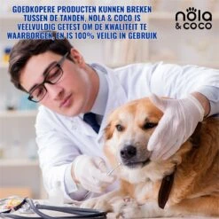 Nola & Coco® Tandsteen Verwijderaar Set Inclusief Bewaardoosje - Tandenkrabber - Set Van Twee - Hond - Kat - Tandenborstel - Tandplak Verwijderen - Tandenstoker - Honden Tanden Schoonmaken - Tandenhaakje - Gebitsreiniging 12 Nola & Coco® Tandsteen Verwijderaar Set Inclusief Bewaardoosje - Tandenkrabber - Set Van Twee - Hond - Kat - Tandenborstel - Tandplak Verwijderen - Tandenstoker - Honden Tanden Schoonmaken - Tandenhaakje - Gebitsreiniging -Dierenwinkel 1200x1200 190