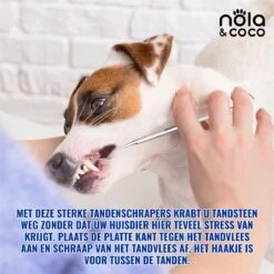 Nola & Coco® Tandsteen Verwijderaar Set Inclusief Bewaardoosje - Tandenkrabber - Set Van Twee - Hond - Kat - Tandenborstel - Tandplak Verwijderen - Tandenstoker - Honden Tanden Schoonmaken - Tandenhaakje - Gebitsreiniging 14 Nola & Coco® Tandsteen Verwijderaar Set Inclusief Bewaardoosje - Tandenkrabber - Set Van Twee - Hond - Kat - Tandenborstel - Tandplak Verwijderen - Tandenstoker - Honden Tanden Schoonmaken - Tandenhaakje - Gebitsreiniging -Dierenwinkel 1200x1200 192