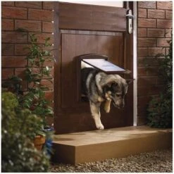 Petsafe 757 Hondenluik - Medium - Zilver/Tranparant -Dierenwinkel 1200x1200 200