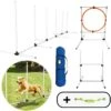 AYOO Agility Voor De Hond - Honden Training - Honden Behendigheid Set - Hondenparcours - Training Huisdieren - Honden Agility Set - Slalom - Horde - Draagzak - Agility Set - Oranje - Wit - GRATIS Speeltouw -Dierenwinkel 1200x1200 204
