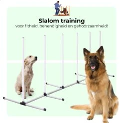 AYOO Agility Voor De Hond - Honden Training - Honden Behendigheid Set - Hondenparcours - Training Huisdieren - Honden Agility Set - Slalom - Horde - Draagzak - Agility Set - Oranje - Wit - GRATIS Speeltouw -Dierenwinkel 1200x1200 208