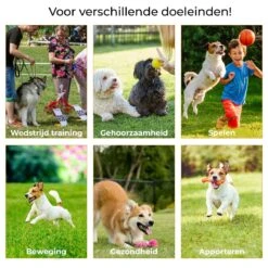 AYOO Agility Voor De Hond - Honden Training - Honden Behendigheid Set - Hondenparcours - Training Huisdieren - Honden Agility Set - Slalom - Horde - Draagzak - Agility Set - Oranje - Wit - GRATIS Speeltouw -Dierenwinkel 1200x1200 209