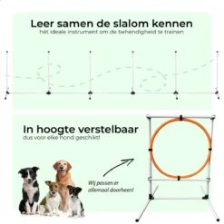 AYOO Agility Voor De Hond - Honden Training - Honden Behendigheid Set - Hondenparcours - Training Huisdieren - Honden Agility Set - Slalom - Horde - Draagzak - Agility Set - Oranje - Wit - GRATIS Speeltouw -Dierenwinkel 1200x1200 210