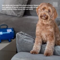Nuvoo Professionele Hondenföhn / Waterblazer / Hondenborstel Met 3 Opzetstukken - Verstelbare Vermogen Tot 2200W - Warme / Koude Stand - Rood 19 Nuvoo Professionele Hondenföhn / Waterblazer / Hondenborstel Met 3 Opzetstukken - Verstelbare Vermogen Tot 2200W - Warme / Koude Stand - Rood -Dierenwinkel 1200x1200 22