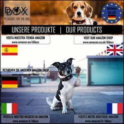 DDOXX Hondenharnas, Reflecterend, Verstelbaar, Breakaway | Borstharnas Voor Klein, Middelgroot | Hondenharnas Hond Kat Puppy Auto | Kattenharnas Puppy Harnas | Roze Roze, S 22 DDOXX Hondenharnas, Reflecterend, Verstelbaar, Breakaway | Borstharnas Voor Klein, Middelgroot | Hondenharnas Hond Kat Puppy Auto | Kattenharnas Puppy Harnas | Roze Roze, S -Dierenwinkel 1200x1200 231