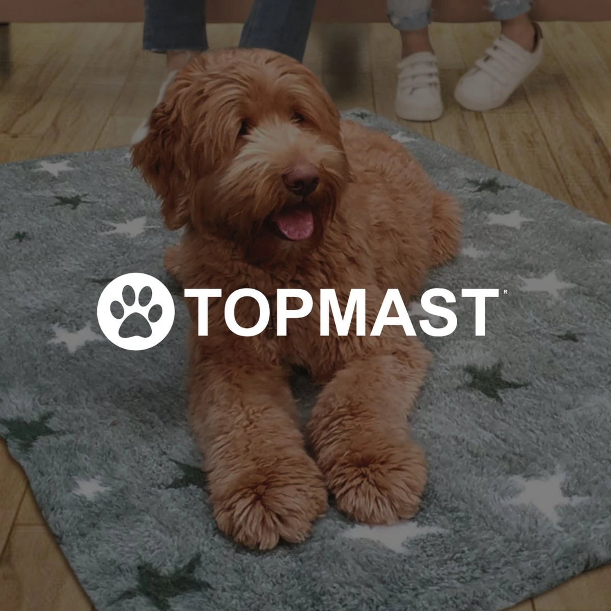 Vetbed Effen Lichtbruin - Antislip Hondenmat - 2 Stuks - 75 X 50 Cm - Benchmat - Hondenkleed - Voor Honden - Machine Wasbaar 4 Vetbed Effen Lichtbruin - Antislip Hondenmat - 2 Stuks - 75 X 50 Cm - Benchmat - Hondenkleed - Voor Honden - Machine Wasbaar - Afbeelding 2