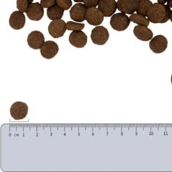 Vetality Hypoallergenic Hondenvoer - 10 Kg -Dierenwinkel 1200x1200 246