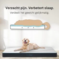 CozySense® - Orthopedisch Hondenkussen - Hondenkussen 90 X 55 Cm - Ook Geschikt Als Benchkussen & Hondenbed - Hondenkussen Bank - Traagschuim - Waterdicht - Wasbare Hoes - Maat L 12 CozySense® - Orthopedisch Hondenkussen - Hondenkussen 90 X 55 Cm - Ook Geschikt Als Benchkussen & Hondenbed - Hondenkussen Bank - Traagschuim - Waterdicht - Wasbare Hoes - Maat L -Dierenwinkel 1200x1200 267