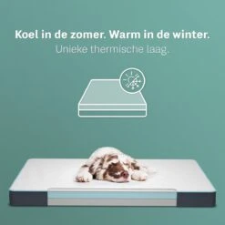 CozySense® - Orthopedisch Hondenkussen - Hondenkussen 90 X 55 Cm - Ook Geschikt Als Benchkussen & Hondenbed - Hondenkussen Bank - Traagschuim - Waterdicht - Wasbare Hoes - Maat L 13 CozySense® - Orthopedisch Hondenkussen - Hondenkussen 90 X 55 Cm - Ook Geschikt Als Benchkussen & Hondenbed - Hondenkussen Bank - Traagschuim - Waterdicht - Wasbare Hoes - Maat L -Dierenwinkel 1200x1200 268