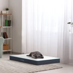 CozySense® - Orthopedisch Hondenkussen - Hondenkussen 90 X 55 Cm - Ook Geschikt Als Benchkussen & Hondenbed - Hondenkussen Bank - Traagschuim - Waterdicht - Wasbare Hoes - Maat L 15 CozySense® - Orthopedisch Hondenkussen - Hondenkussen 90 X 55 Cm - Ook Geschikt Als Benchkussen & Hondenbed - Hondenkussen Bank - Traagschuim - Waterdicht - Wasbare Hoes - Maat L -Dierenwinkel 1200x1200 270