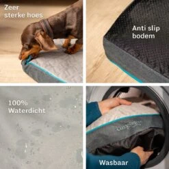 CozySense® - Orthopedisch Hondenkussen - Hondenkussen 90 X 55 Cm - Ook Geschikt Als Benchkussen & Hondenbed - Hondenkussen Bank - Traagschuim - Waterdicht - Wasbare Hoes - Maat L 16 CozySense® - Orthopedisch Hondenkussen - Hondenkussen 90 X 55 Cm - Ook Geschikt Als Benchkussen & Hondenbed - Hondenkussen Bank - Traagschuim - Waterdicht - Wasbare Hoes - Maat L -Dierenwinkel 1200x1200 271
